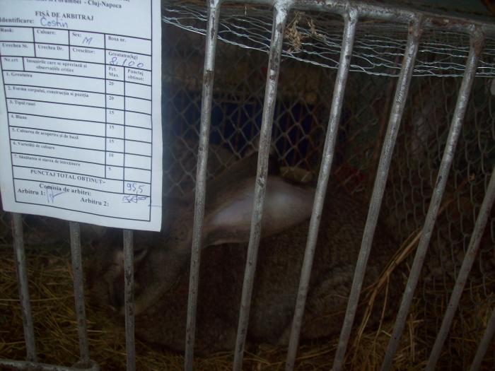 EXPO 2009 .01.09  CLUJ-NAPOCA 078