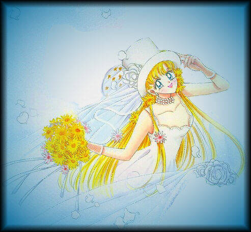 Sailor-Venus-Mina-Aino541 - sailor moon