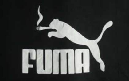 fuma