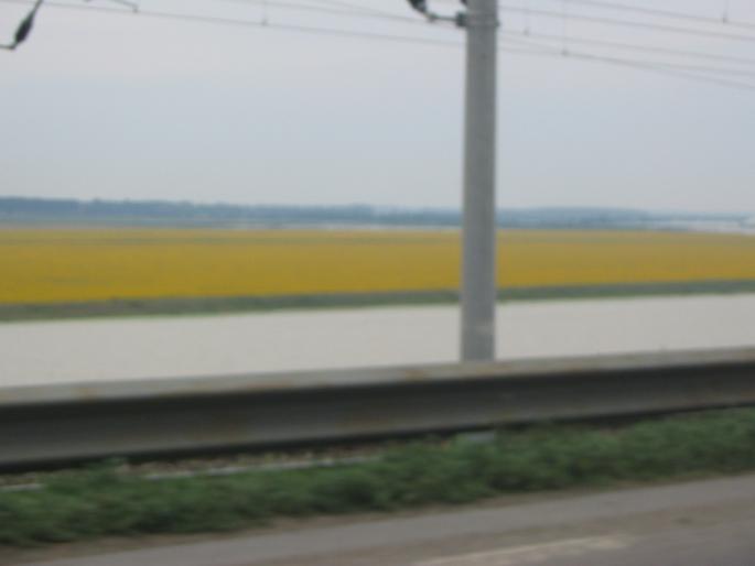 inundatii (23)