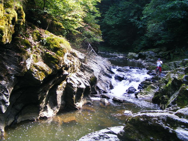 DSCF5187