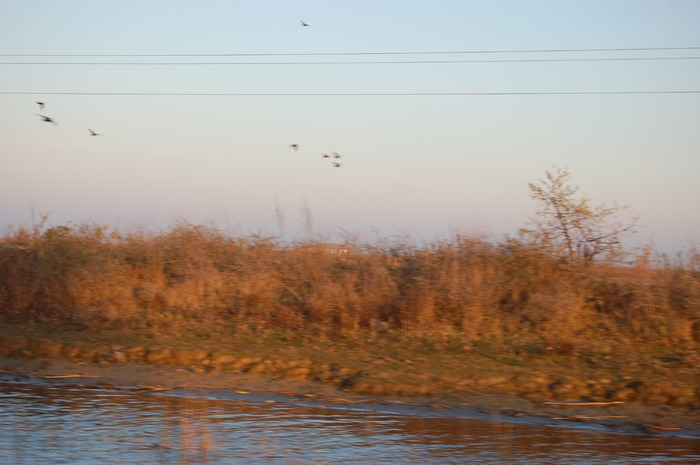 DSC_0060
