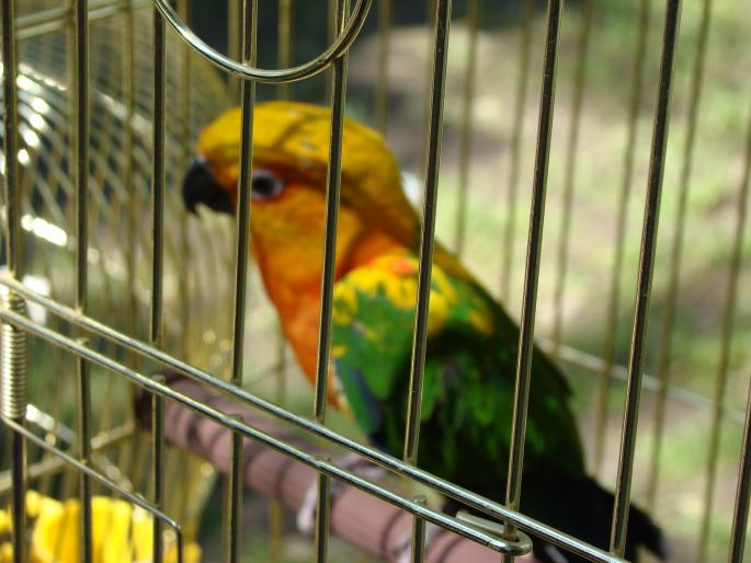 DSC00434