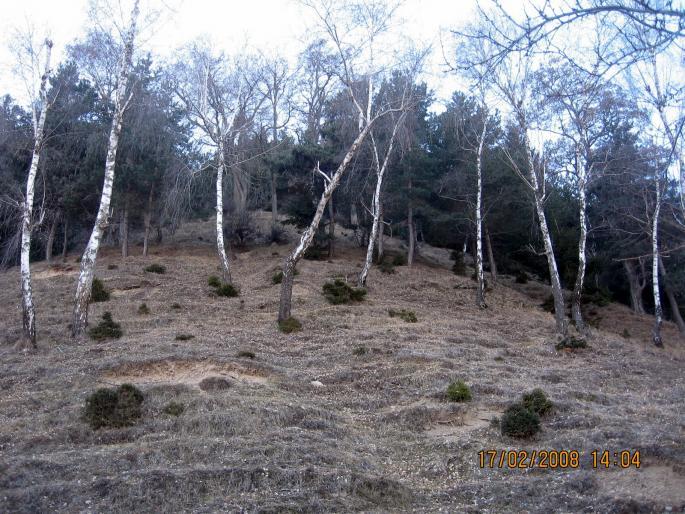 la poalele barajului Rausor,pe cursul Raului Targului...