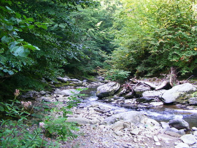 DSCF5129