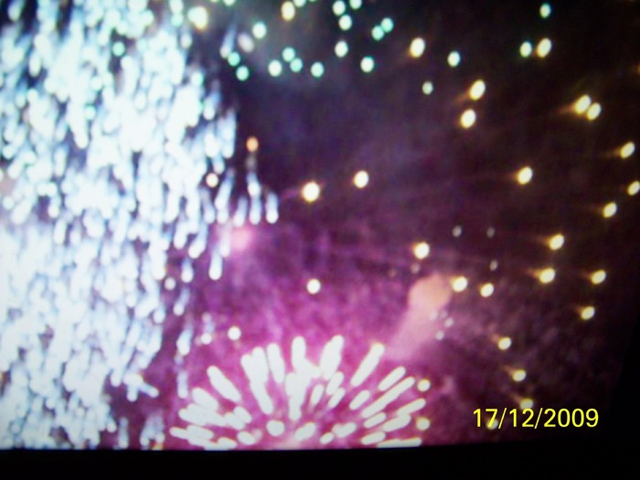 100_7066 - 1 Decembrie Timisoara