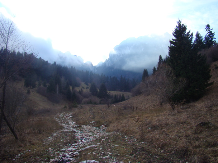 DSC04628
