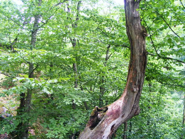 DSCF2562
