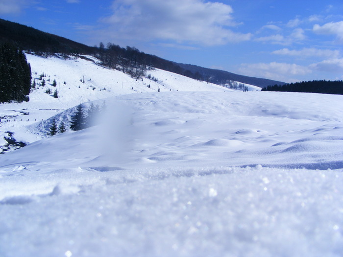 DSCF6940