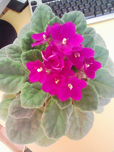 Image0006; 1 nov.2009
