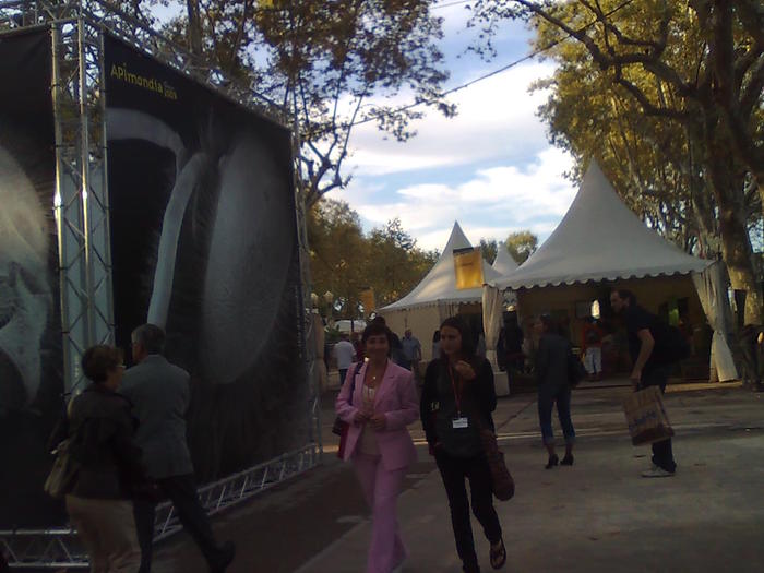 Imagine1226 - ApiMondia