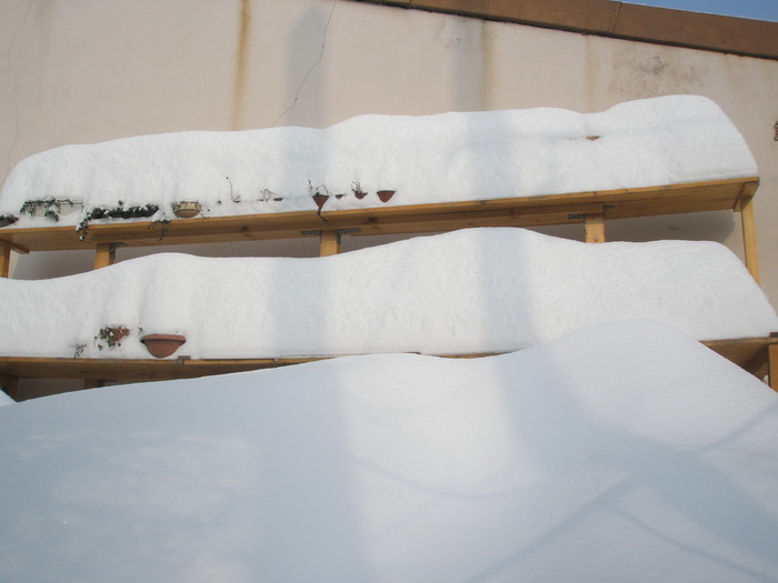 acolo sunt plantele de exterior