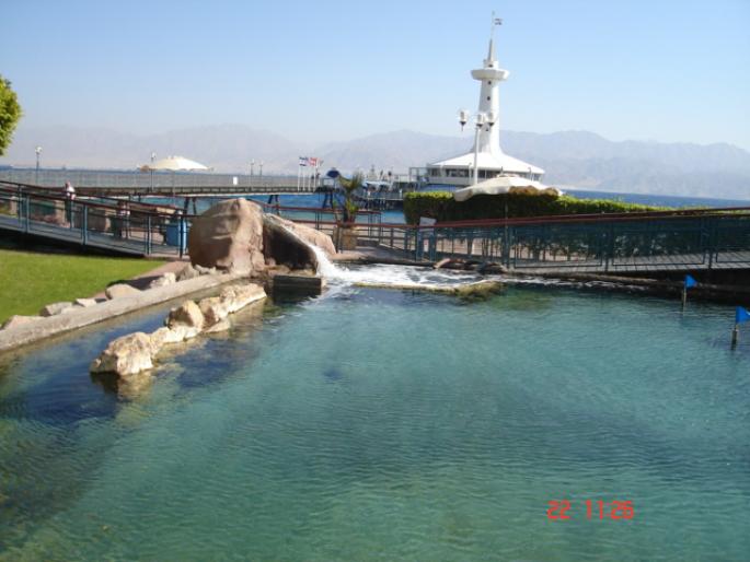 507 Israel - Eilat - The Observatory Marine Park - 2008 ISRAEL NOIEMBRIE