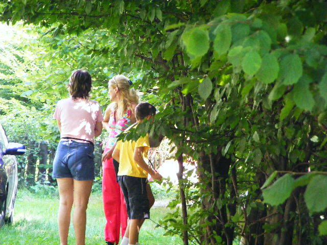 DSCF4766 - Firiza_Maramures