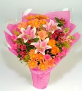 Impact-floral-88