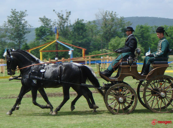 baa9020c_0010000854312_00_600