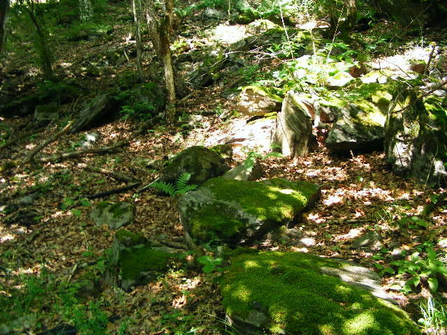 DSCF2450