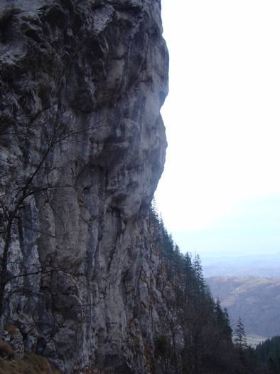 DSC04579