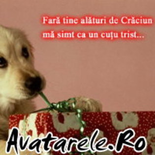 FARA TINE DE CRACIUN MA SIMT UN CUTU TRIST - CATELUSI