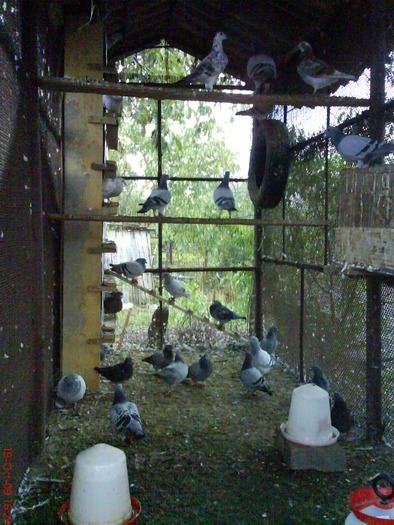 DSC03016; cativa dintre ei
