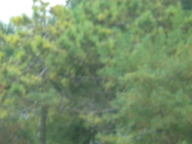 DSCN1578