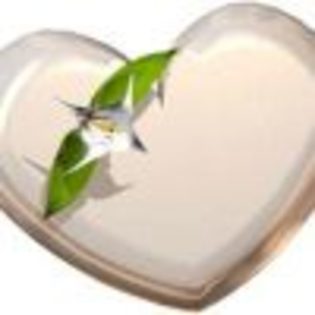 avatar-3-18-2428 - HEARTS
