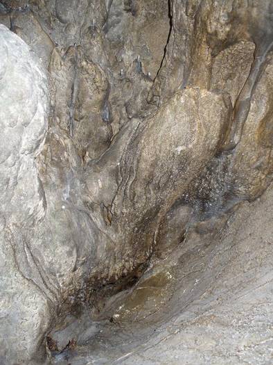 P1200063 - Pestera cu Oase  poiana Botizii 22 mai 2009