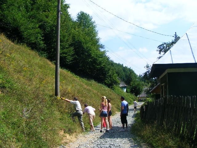 DSCF4914 - Firiza_Maramures