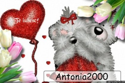 Antonia2000 - Cele mai bune prietene de pe SunPhoto