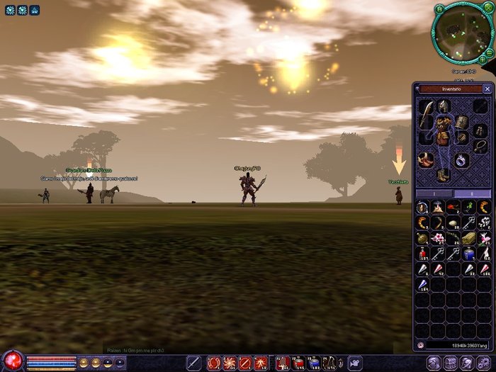 0119_090832 - metin privat server