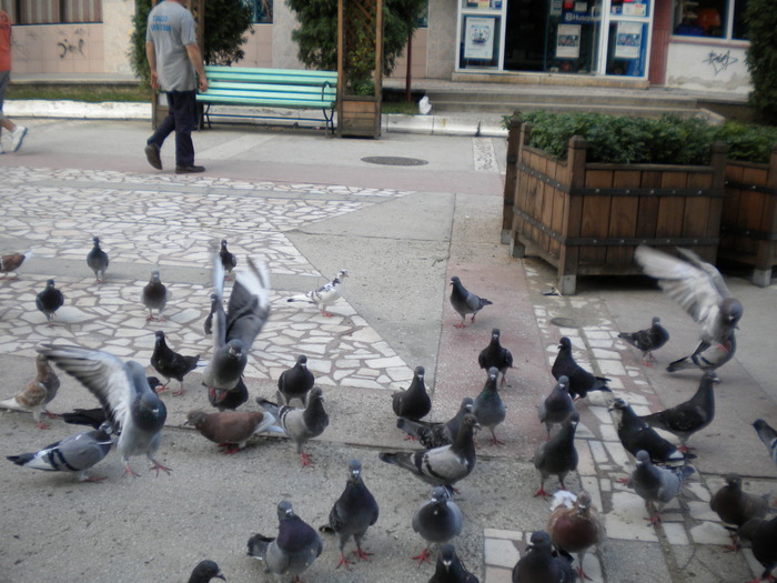 DSCN0128 - 18f Targoviste