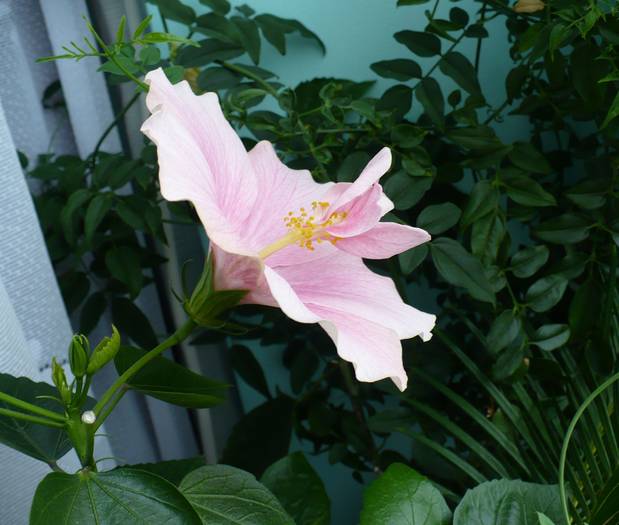 P1140480