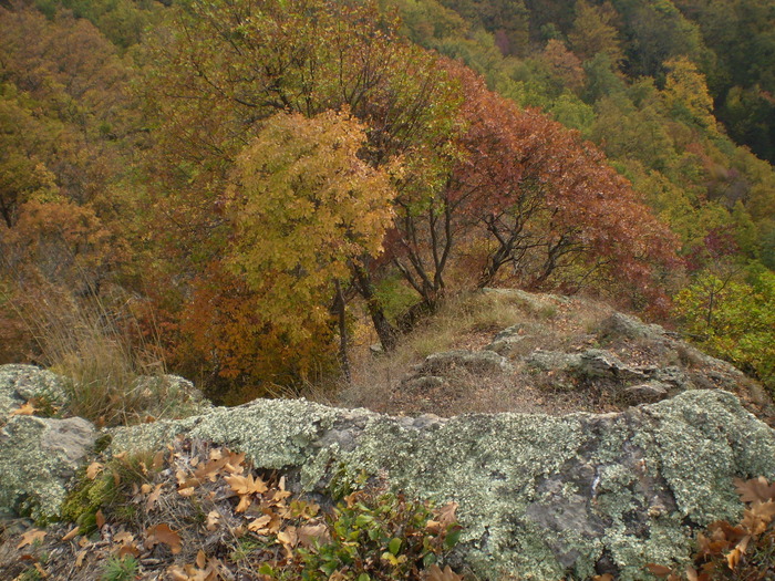 VALEA CALINESTI-PIETRELE ZMEILOR 11.10.2009 121 - VALEA CALINESTI-GROTA PIETRELE ZMEILOR