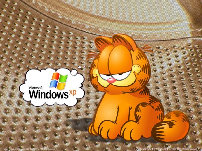 Garfield 1