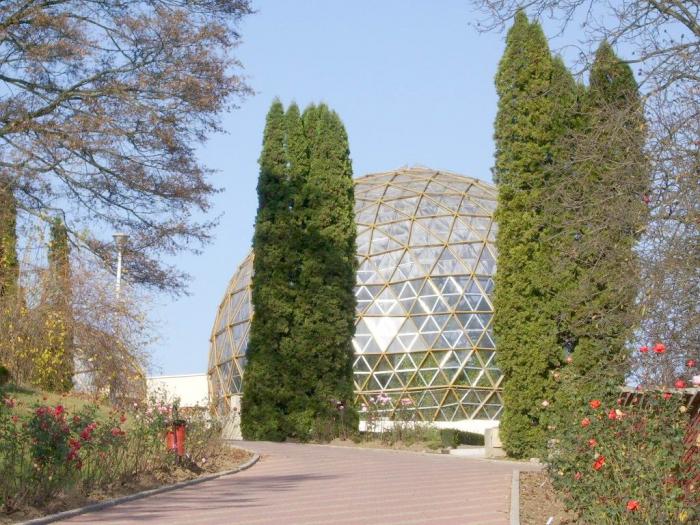 Re-exposure of IMGP7008 - Gradina Botanica din Jibou