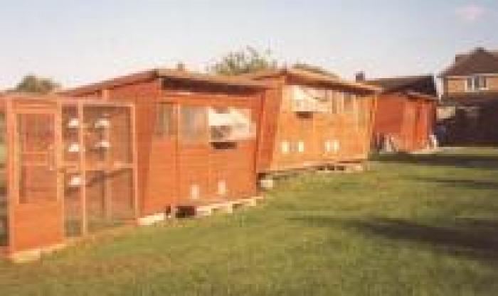 TWQPWVRJJCCFHSVJWUV - MODELE DE CRESCATORII