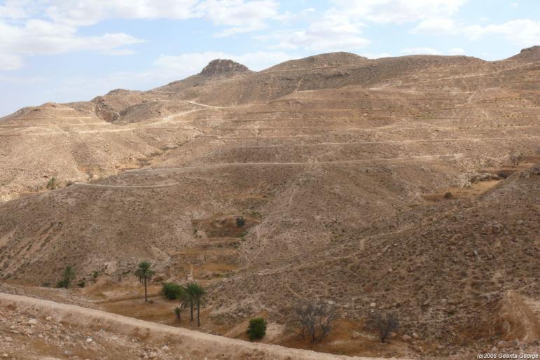 Tunisia_328 - Tunisia