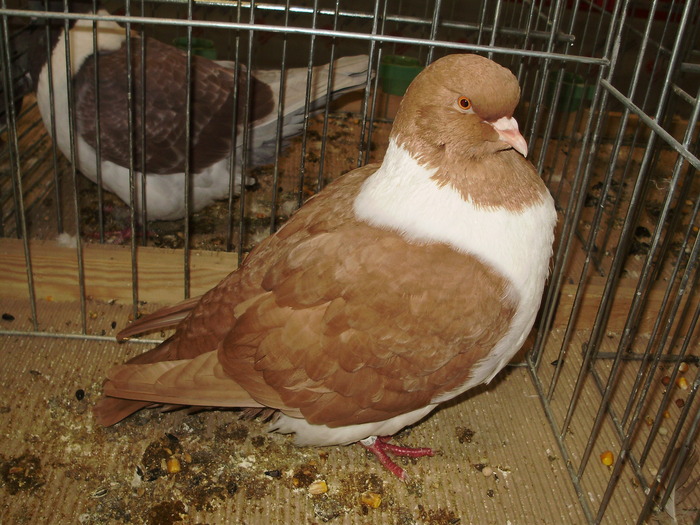 5523 s 0