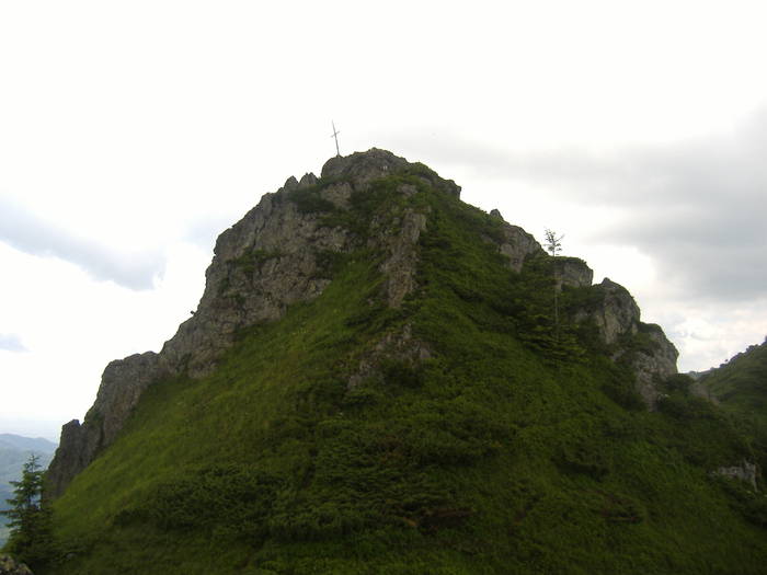 DSCF6140