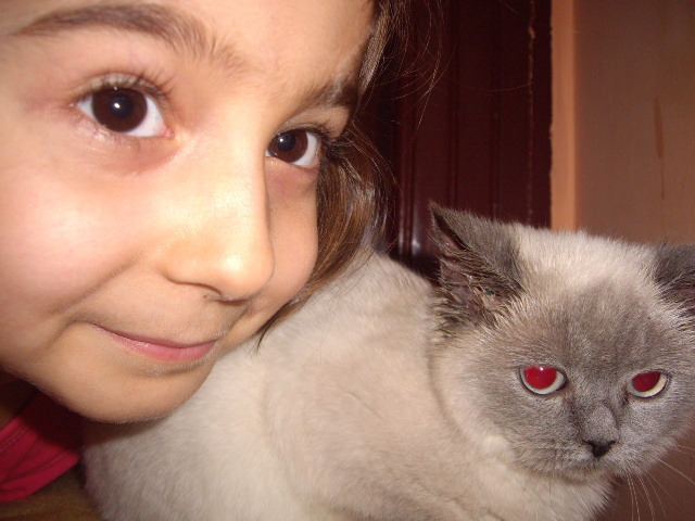 British  Lisa; Daria si Lisa
