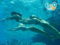 cariba-heine_51 - H2o