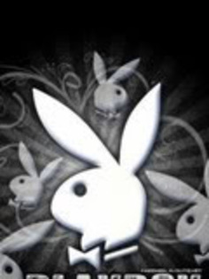 playboy_bunny - Playboy Bunny