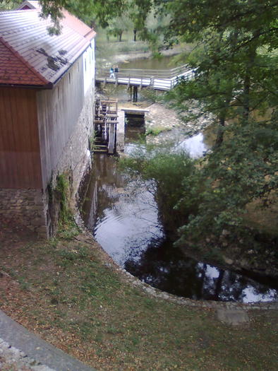 Imagine0906 - ApiMondia