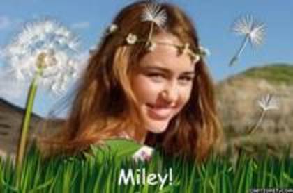 XDMGEDNAWAHDZVPLQOV - here are almost all my photos with Miley and Hannah