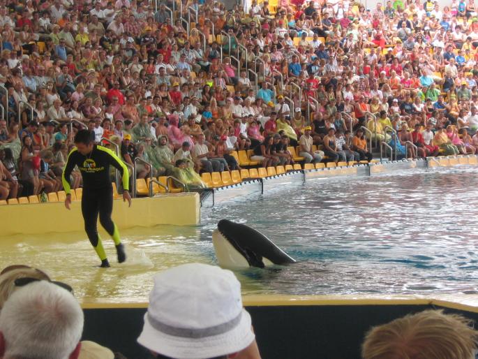 IMG_0792 - Tenerife 2006