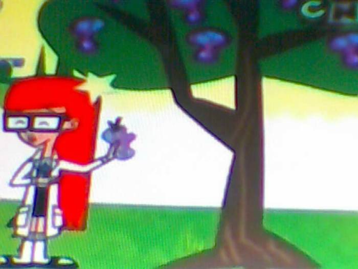 snapshot-2829 - Video Hsm Vedete