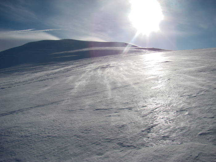 DSC01165 - Bucegi - Valea Izvorul Dorului-Padina