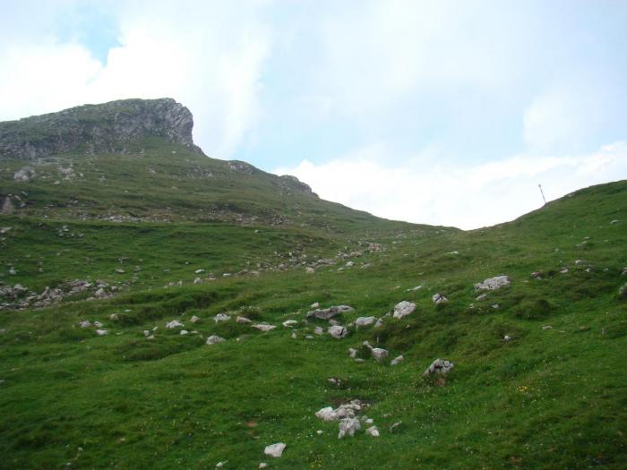 DSC01958 - Concediu 2008