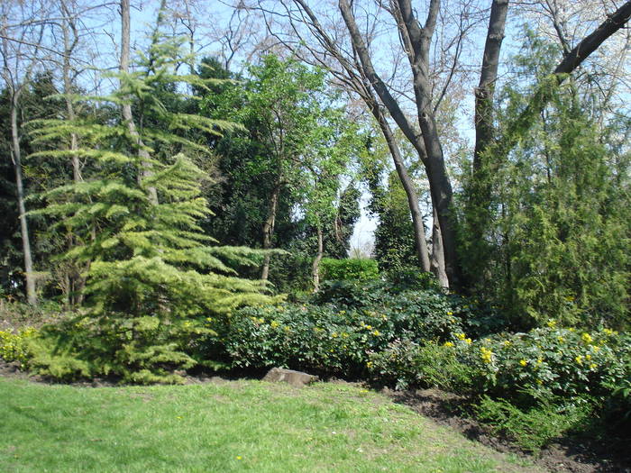 Burgas - 2009 NESSEBAR PASTE