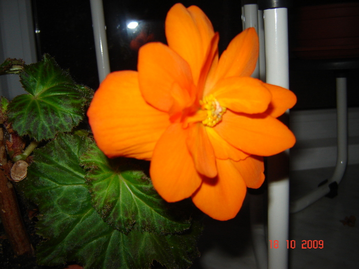 DSC02753